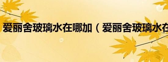 爱丽舍玻璃水在哪加（爱丽舍玻璃水在哪加）
