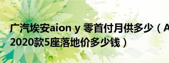 广汽埃安aion y 零首付月供多少（AION LX2020款5座落地价多少钱）