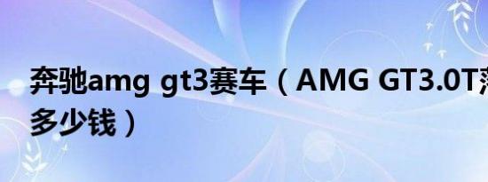 奔驰amg gt3赛车（AMG GT3.0T落地价是多少钱）