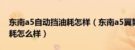 东南a5自动挡油耗怎样（东南a5翼舞参数油耗怎么样）