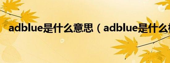 adblue是什么意思（adblue是什么标志）