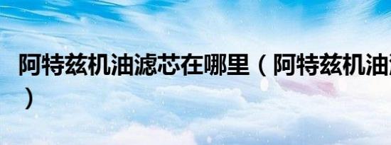 阿特兹机油滤芯在哪里（阿特兹机油滤芯在哪）
