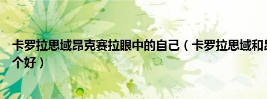 卡罗拉思域昂克赛拉眼中的自己（卡罗拉思域和昂克赛拉哪个好）