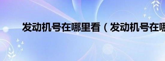 发动机号在哪里看（发动机号在哪）