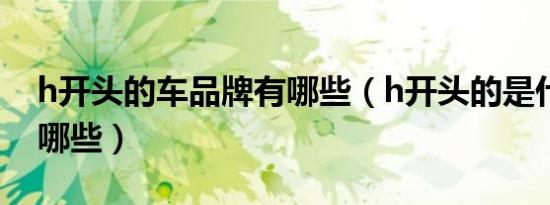 h开头的车品牌有哪些（h开头的是什么车有哪些）