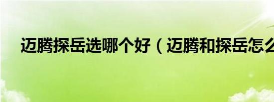 迈腾探岳选哪个好（迈腾和探岳怎么选）