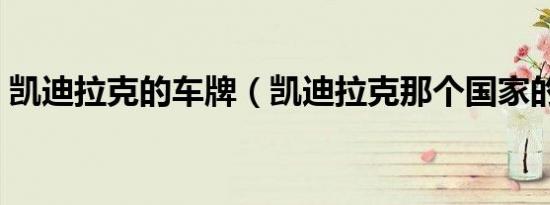 凯迪拉克的车牌（凯迪拉克那个国家的车牌）