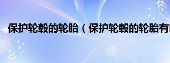 保护轮毂的轮胎（保护轮毂的轮胎有哪些）