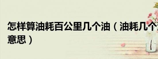 怎样算油耗百公里几个油（油耗几个油是什么意思）