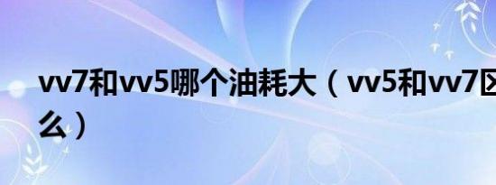 vv7和vv5哪个油耗大（vv5和vv7区别有什么）