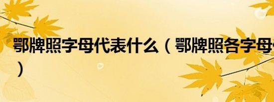 鄂牌照字母代表什么（鄂牌照各字母代表什么）