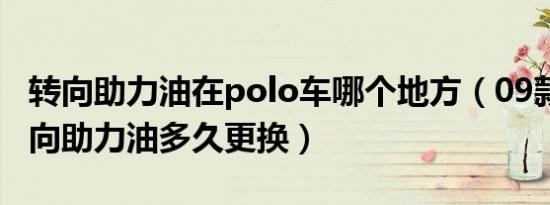 转向助力油在polo车哪个地方（09款polo转向助力油多久更换）