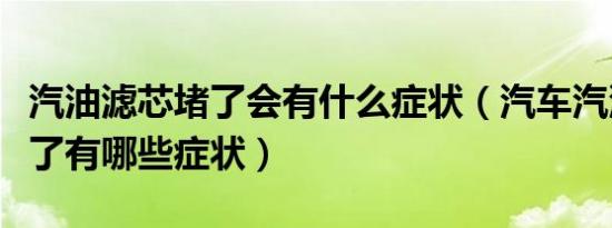 汽油滤芯堵了会有什么症状（汽车汽油滤芯堵了有哪些症状）