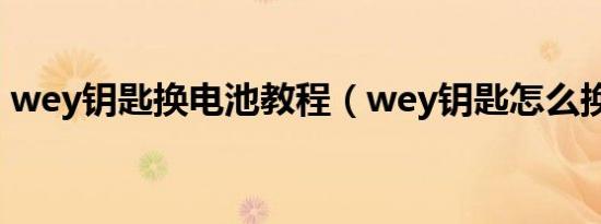 wey钥匙换电池教程（wey钥匙怎么换电池）