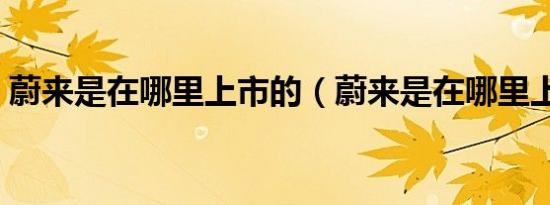 蔚来是在哪里上市的（蔚来是在哪里上市的）