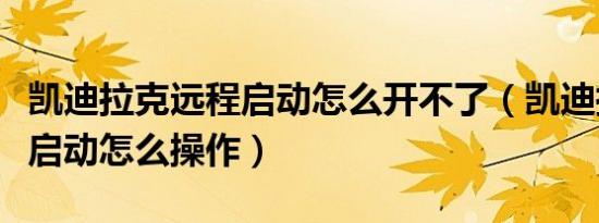 凯迪拉克远程启动怎么开不了（凯迪拉克远程启动怎么操作）