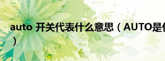 auto 开关代表什么意思（AUTO是什么开关）