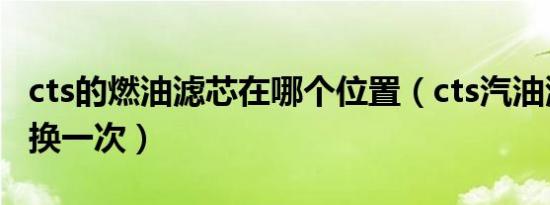cts的燃油滤芯在哪个位置（cts汽油滤芯多久换一次）