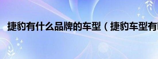 捷豹有什么品牌的车型（捷豹车型有哪些）