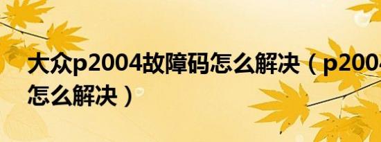 大众p2004故障码怎么解决（p2004故障码怎么解决）