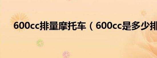 600cc排量摩托车（600cc是多少排量）
