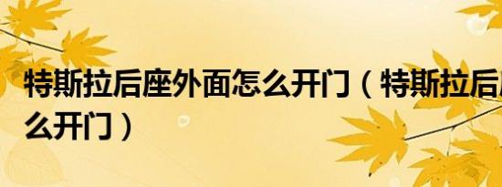 特斯拉后座外面怎么开门（特斯拉后座下车怎么开门）