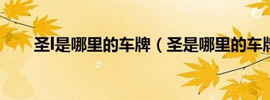 圣l是哪里的车牌（圣是哪里的车牌）