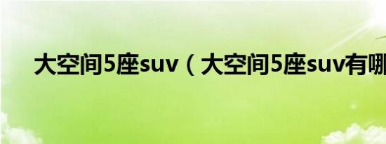 大空间5座suv（大空间5座suv有哪些）