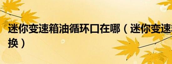 迷你变速箱油循环口在哪（迷你变速箱油多久换）