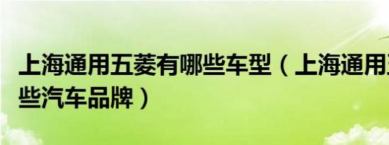 上海通用五菱有哪些车型（上海通用五菱有哪些汽车品牌）