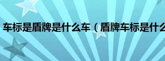 车标是盾牌是什么车（盾牌车标是什么汽车）