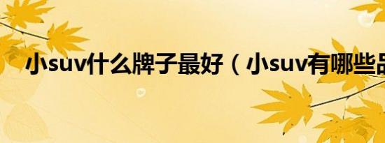 小suv什么牌子最好（小suv有哪些品牌）
