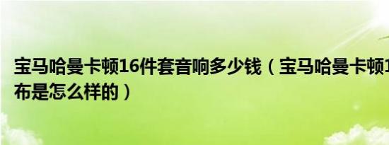 宝马哈曼卡顿16件套音响多少钱（宝马哈曼卡顿16喇叭的分布是怎么样的）