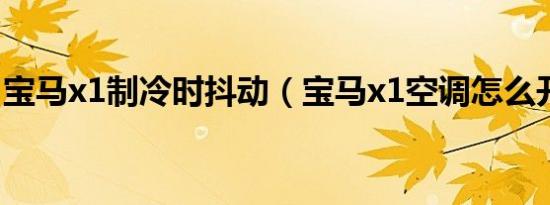 宝马x1制冷时抖动（宝马x1空调怎么开制冷）