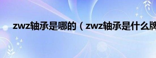 zwz轴承是哪的（zwz轴承是什么牌子）