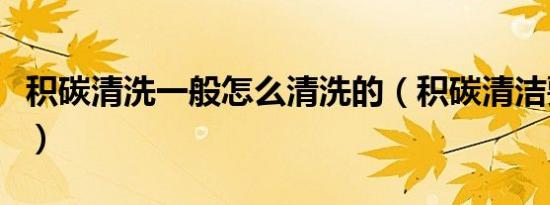 积碳清洗一般怎么清洗的（积碳清洁要拆哪些）