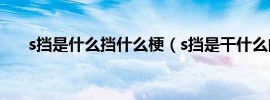 s挡是什么挡什么梗（s挡是干什么的）