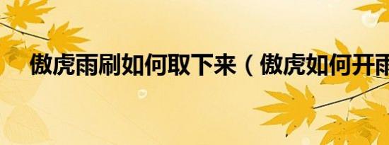 傲虎雨刷如何取下来（傲虎如何开雨刷）