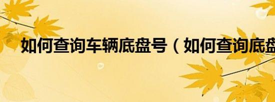 如何查询车辆底盘号（如何查询底盘号）