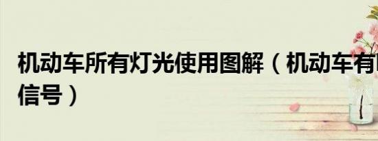机动车所有灯光使用图解（机动车有哪些灯光信号）
