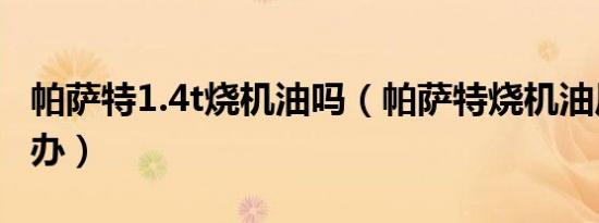 帕萨特1.4t烧机油吗（帕萨特烧机油厉害怎么办）