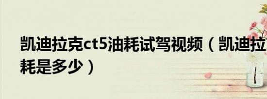 凯迪拉克ct5油耗试驾视频（凯迪拉克ct5油耗是多少）