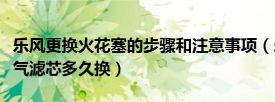乐风更换火花塞的步骤和注意事项（乐风的空气滤芯多久换）