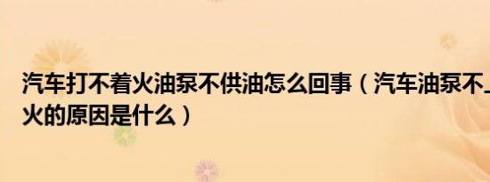 汽车打不着火油泵不供油怎么回事（汽车油泵不上油打不着火的原因是什么）