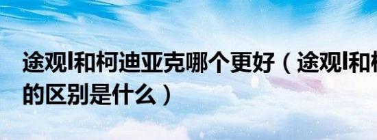 途观l和柯迪亚克哪个更好（途观l和柯迪亚克的区别是什么）
