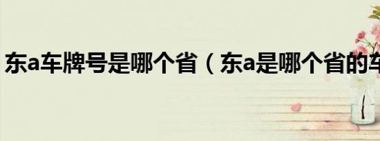 东a车牌号是哪个省（东a是哪个省的车牌号）