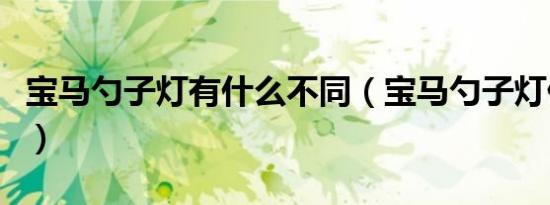 宝马勺子灯有什么不同（宝马勺子灯什么意思）