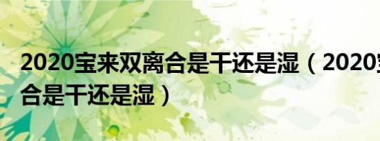 2020宝来双离合是干还是湿（2020宝来双离合是干还是湿）