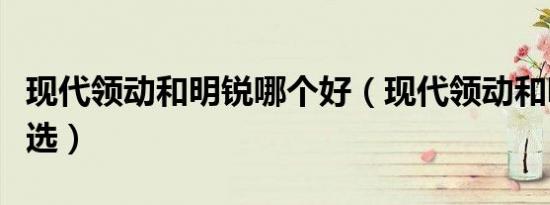 现代领动和明锐哪个好（现代领动和明锐怎么选）