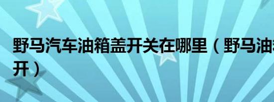 野马汽车油箱盖开关在哪里（野马油箱盖怎么开）